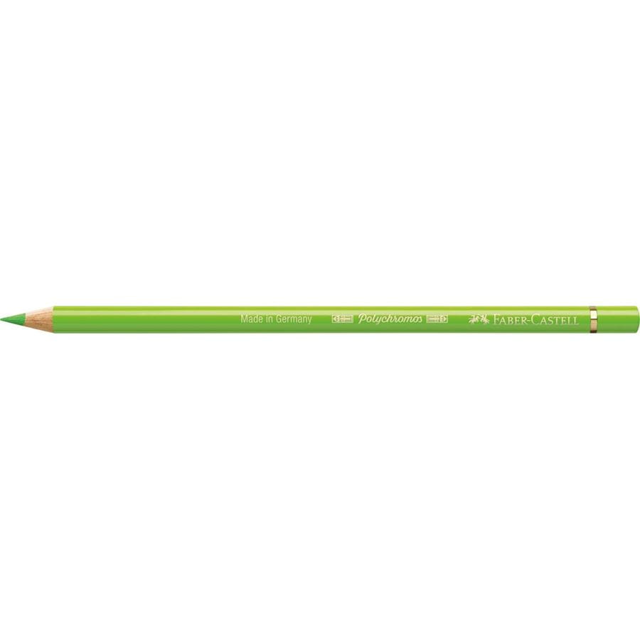 Faber-Castell - Lápiz de color Polychromos, 171 verde claro